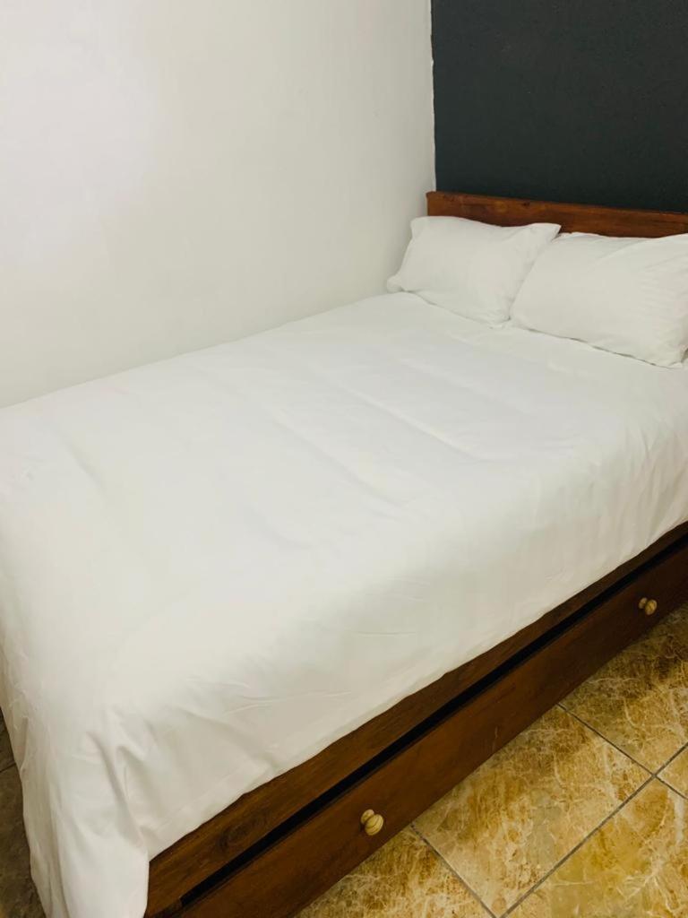 켐턴파크 Afrikawisa At O.R. Tambo International Airport B&B 외부 사진